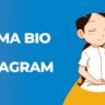 Karma Bio for Instagram